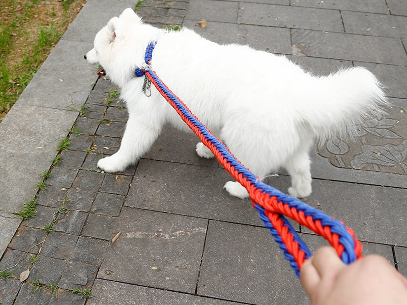 LARGE BLUE&RED Strong Dog Leash Climbing Rope Threaded Pet Training