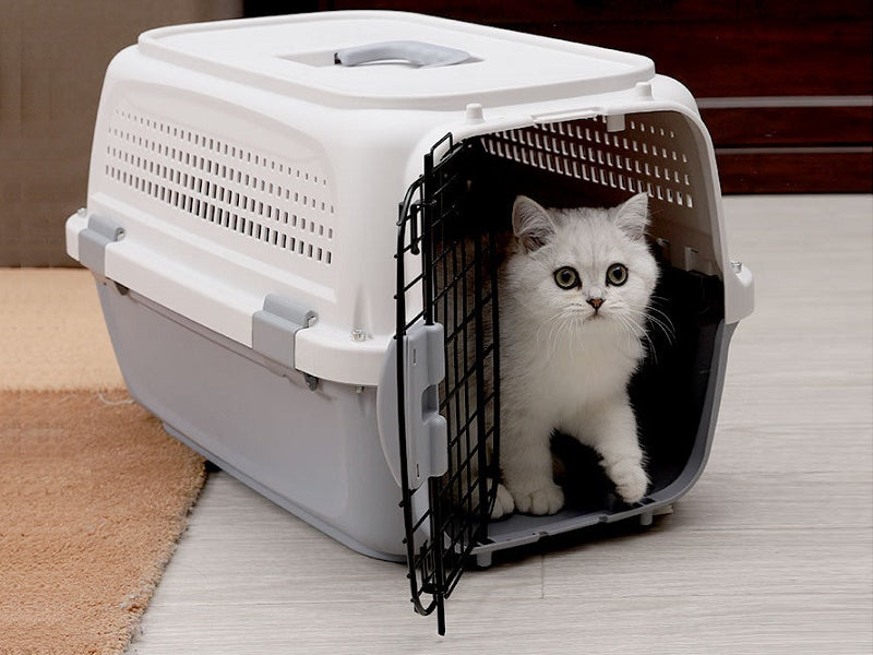 Cat travel outlet cage