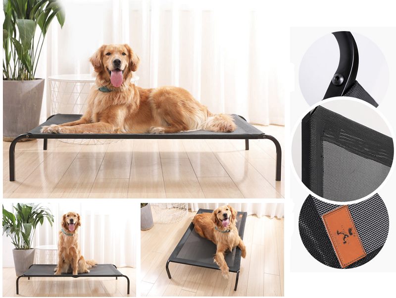 Dog Bed Mesh Elevated Raised Indoor Sleeping Cot with Mattress XL 109*72*21cm