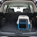 Dealonlinenz 48cm pet travel cage with metal bars for dogs and cats, portable pet carrier suitable for travel and safety.