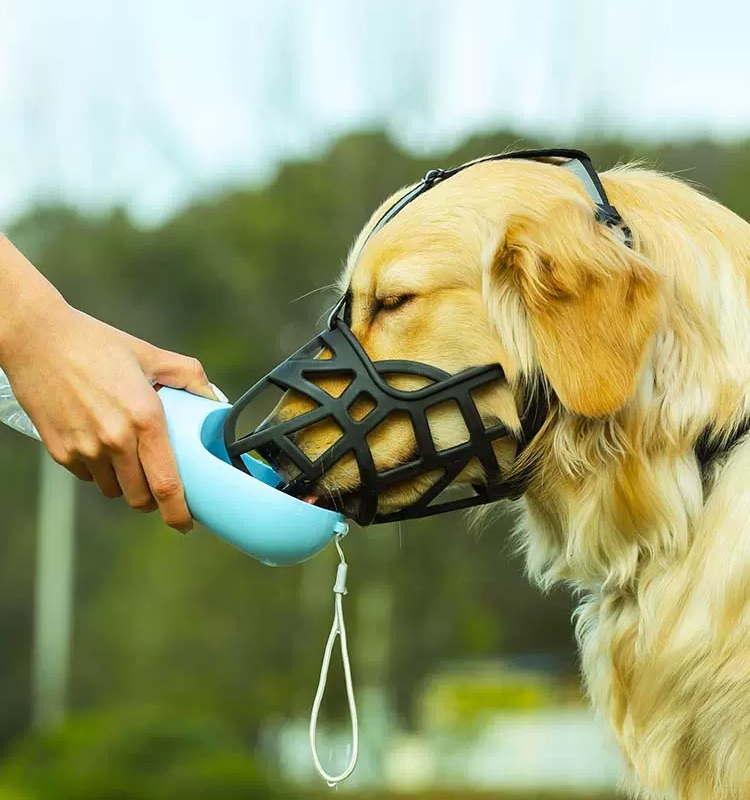 Dog Silicone Muzzle Prevents Chewing Biting Soft Basket Drinking L-XXL