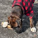 Air-Dried Beef Trachea Supersized: Natural Chew for Pets' Dental Health