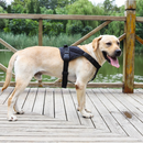 LARGE-BLACK Dog Harness Set Pet Adjustable Chest Strap Walking Collar Vest
