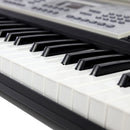 Electronic KEYBOARD ORGAN PIANO 54-Key Multi-Functional