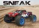 SNEAK Mountain Crazed Cross-Coutry Racing Car 25KM/H 1:12