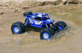 Dealonlinenz 2.4G 4WD amphibious crawler RC buggy car on water and land, rugged design and remote control operation