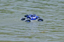 2.4G 4WD Amphibious Crawler RC Buggy Car