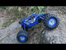 2.4G 4WD Amphibious Crawler RC Buggy Car