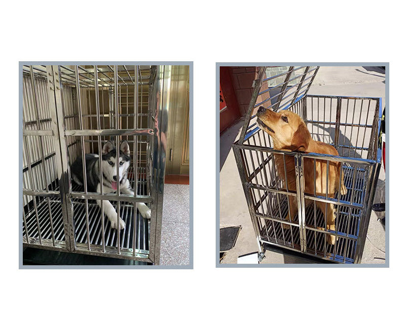 Collapsible Stainless Steel Pet Cage 110CM X - Large with Wheels