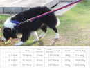 LARGE BLUE&RED Strong Dog Leash Climbing Rope Threaded Pet Training