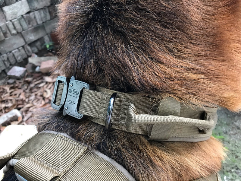 Tactical Dog Collar Adjustable Military Training Nylon Dog Collar Metal Buckle