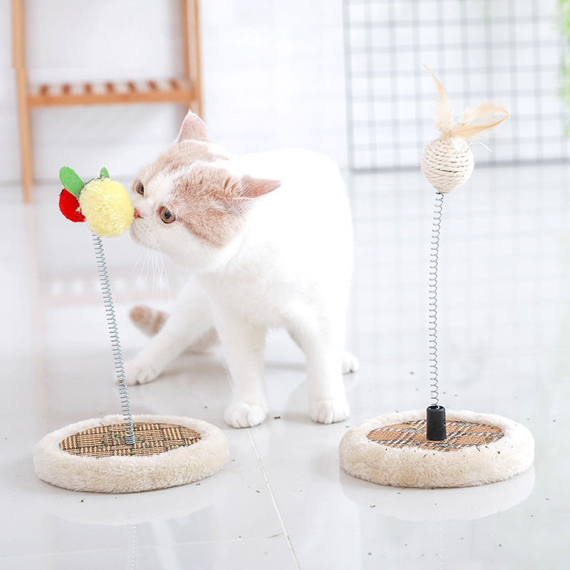 Cat spring Toy A