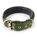 Nylon Dog Collar Multi Colours 4 * 70CM