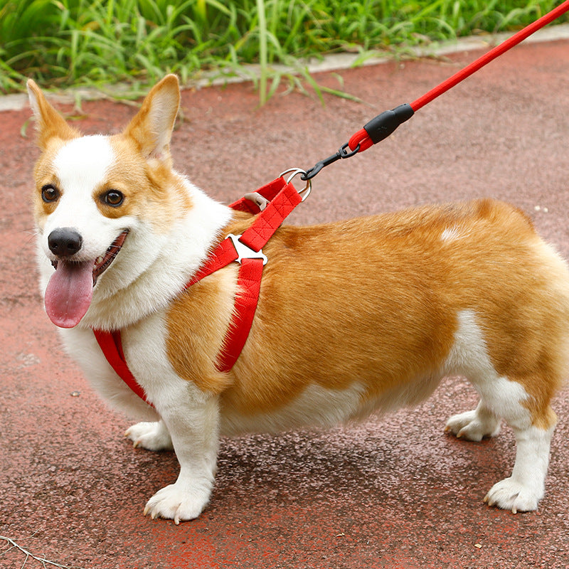 Dog Harness and leash Set Pet Harness Puppy Traction Rope - 2.5CM