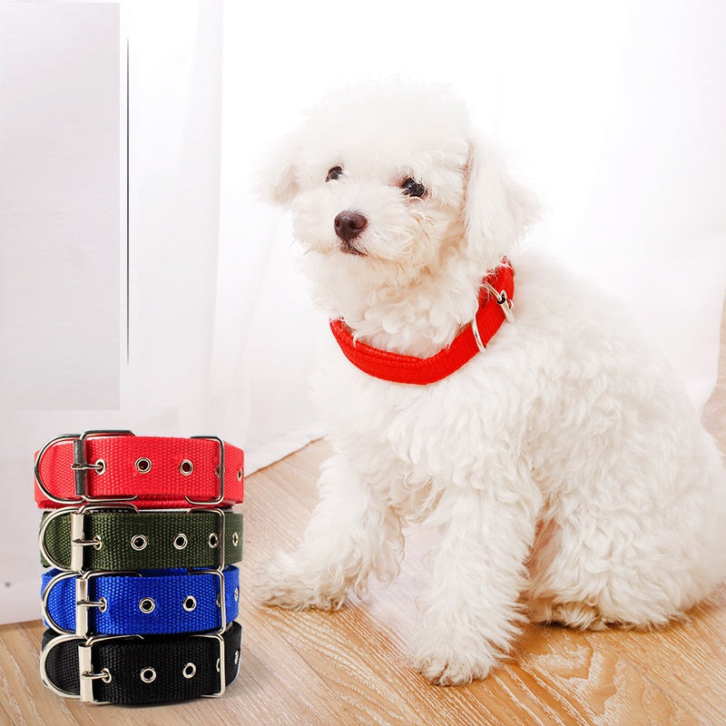 Nylon Dog Collar Multi Colours 4 * 70CM