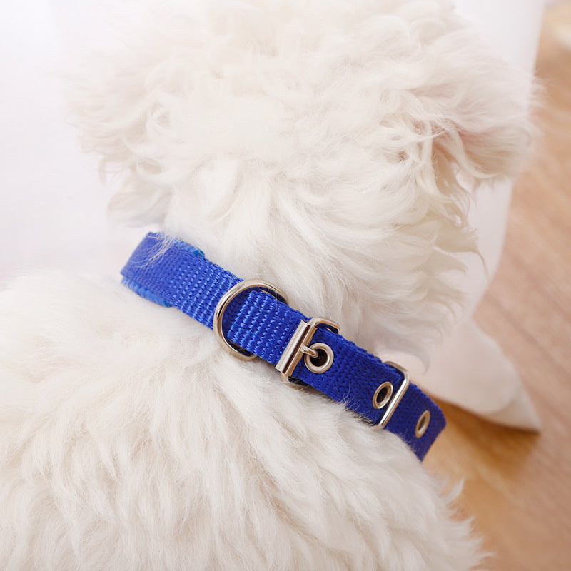 Nylon Dog Collar Multi Colours 4 * 70CM