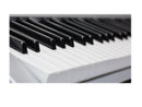 Electronic ORGAN KEYBOARD PIANO 61-Key Multi-Functional