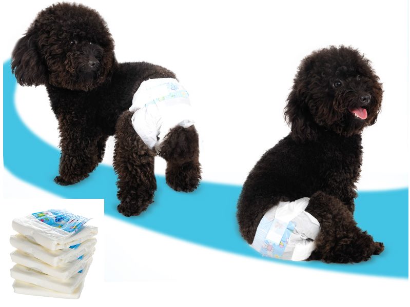 10PCS/PACK Diapers Puppy Disposable Nappy Female Dog Menstrual Sanitary Pants S