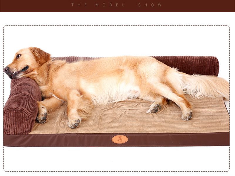 100 x 80cm M Pet Sofa Bed with L-Shaped Cushioned Support