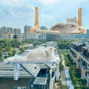 Cat Window Perch / Hammock 49cm x 30cm Up to 22.5kg