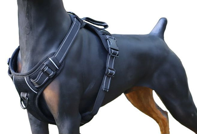XL-BLACK Dog Harness Set Pet Adjustable Chest Strap Walking Collar Vest