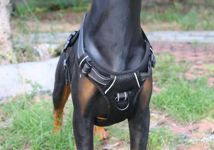 XL-BLACK Dog Harness Set Pet Adjustable Chest Strap Walking Collar Vest
