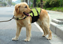 Dog Life Jackets, Reflective &amp; Adjustable Preserver Vest with Enhanced Buoyancy