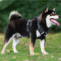 Dog Harness Set Pet Adjustable Chest Strap Walking Collar Vest