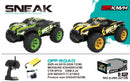Dune Truck - SNEAK Mountain Crazed Cross-Coutry Racing Car 25KM/H 1:12