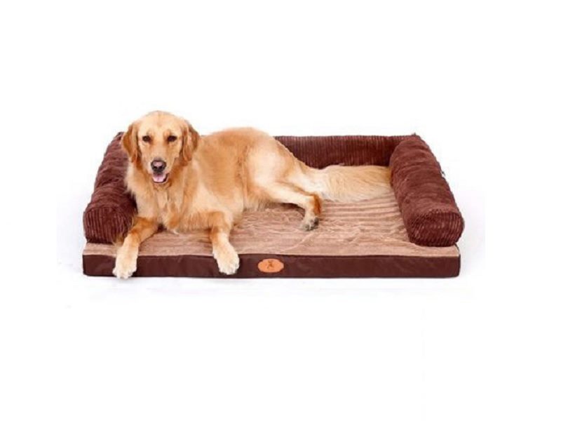 100 x 80cm M Pet Sofa Bed with L-Shaped Cushioned Support