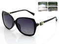 Polarized Gradient Lens Sunglasses 2522C2 BLACK